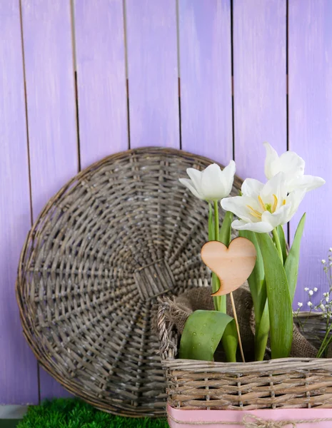 Beautiful hyacinth flower in wicker basket, on green grass on color wooden background — Stock Photo, Image