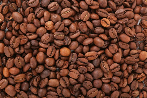 Granos de café primer plano —  Fotos de Stock