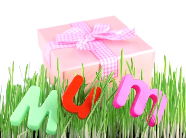 Подарочная коробка для мамы на траве на цветном фоне — стоковое фото