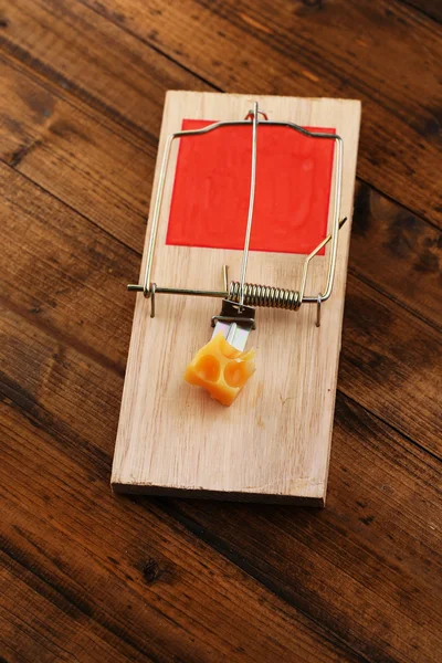 Mousetrap com queijo sobre fundo de madeira — Fotografia de Stock