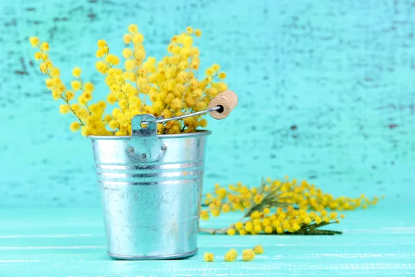 Kvistar av mimosa blommor i hink på blå träbord — Stockfoto