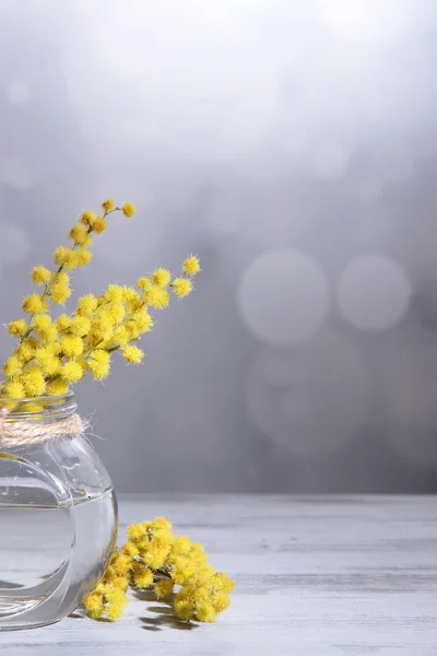 Twigs of mimosa flowers in vase on wooden table — Stock Photo, Image