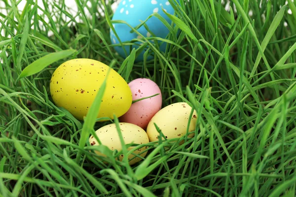 Huevos de Pascua sobre hierba verde, de cerca —  Fotos de Stock