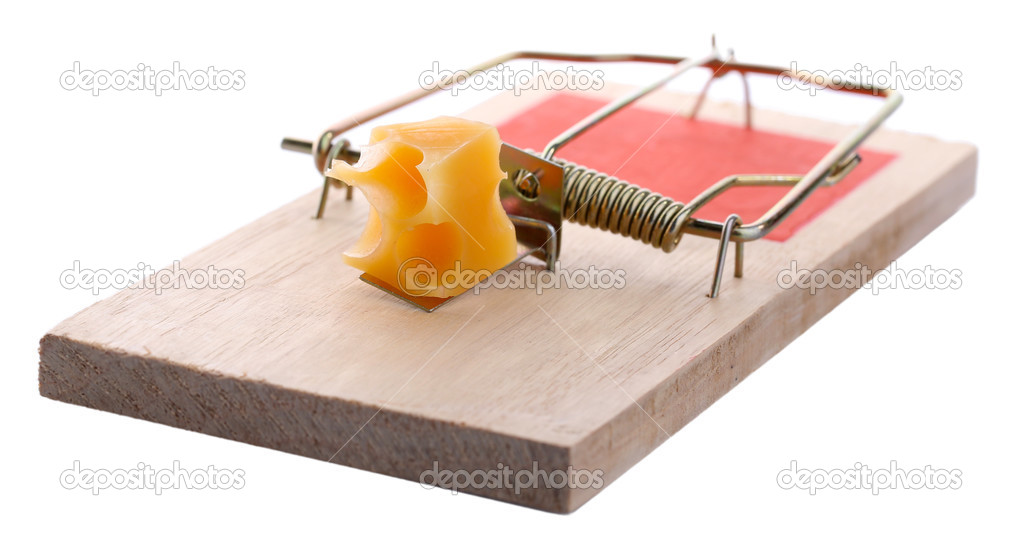 Mousetrap with cheese isolated on white