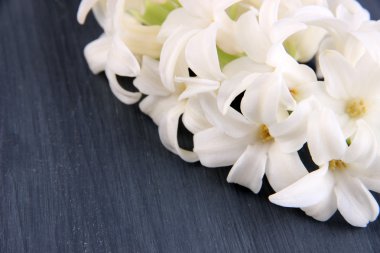 ahşap zemin üzerinde beyaz sümbül