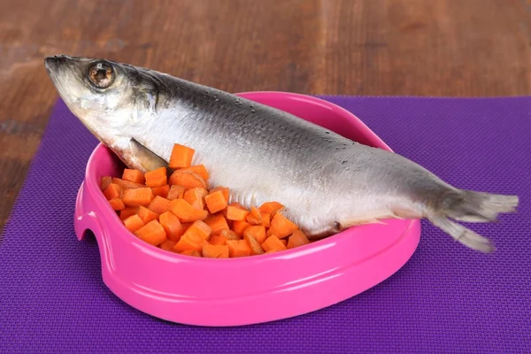 Nourriture naturelle pour animaux domestiques dans un bol en plastique sur le sol — Photo