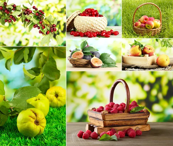 Колаж з садових фруктів і ягід — стокове фото