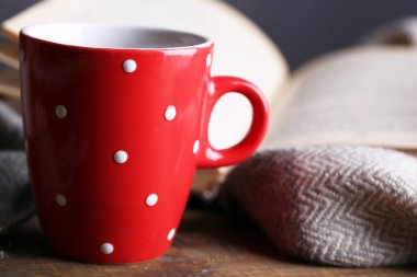sıcak çay ile kitap ve ekose tablo üzerinde kapat