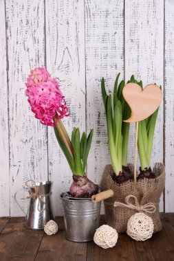 ahşap zemin üzerine masada houseplants ile kompozisyon