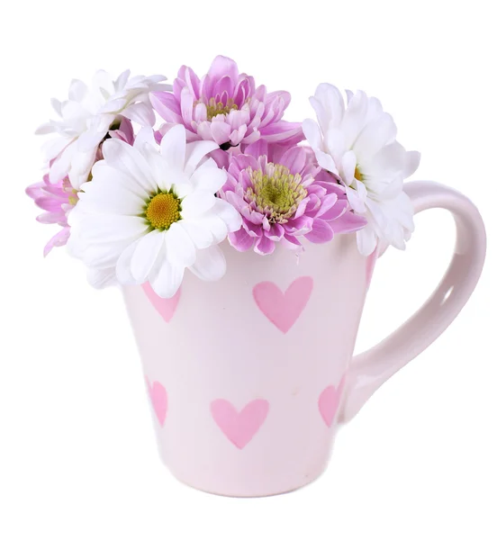 Mooie chrysant bloemen in cup geïsoleerd op wit — Stockfoto