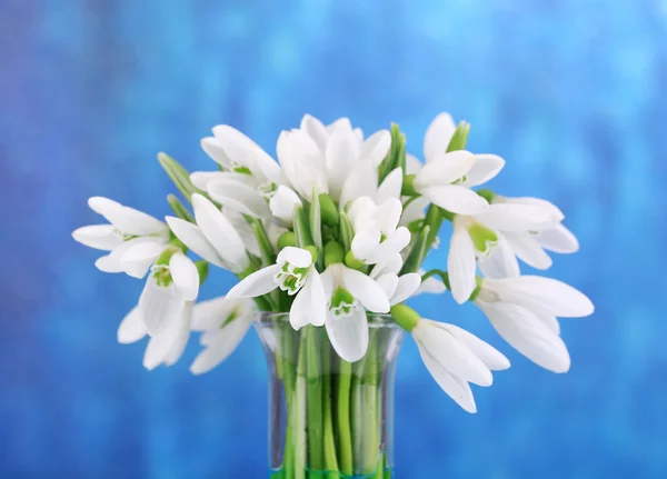 Beautiful snowdrops on bright background — Stock Photo, Image