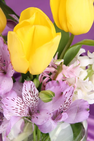 Beautiful flowers close up — Stock Photo, Image