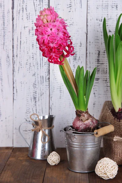 Композиция с комнатными растениями на столе на деревянном фоне — стоковое фото
