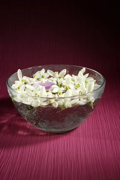 Beautiful snowdrops and candle in glass bowl with water, on purple background — Stock Photo, Image