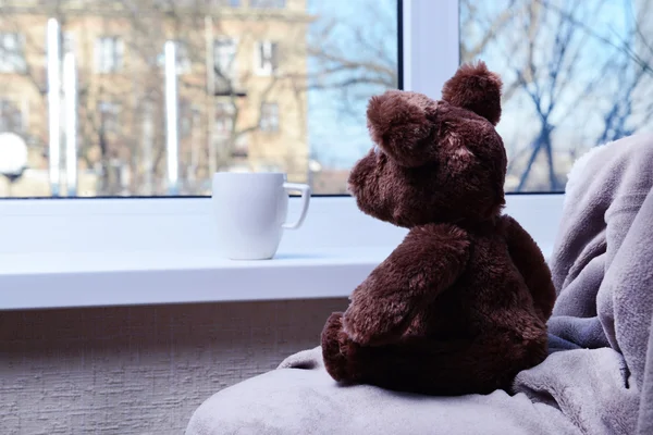 Toy-bear looking out window close-up — Stock Photo, Image