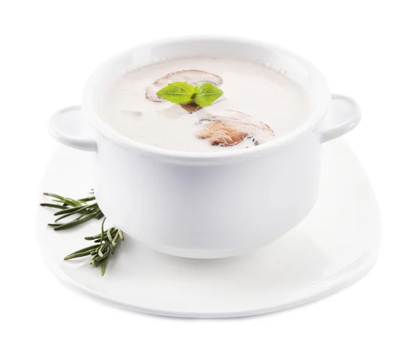 Mushroom soup in white bowl, on plate, isolated on white — Stock Image Mushroom soup in white bowl, on plate, isolated on white Stock Image