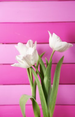 renkli ahşap zemin üzerinde güzel laleler