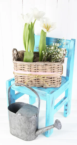 Hermosos tulipanes en silla azul sobre fondo de madera de color — Foto de Stock