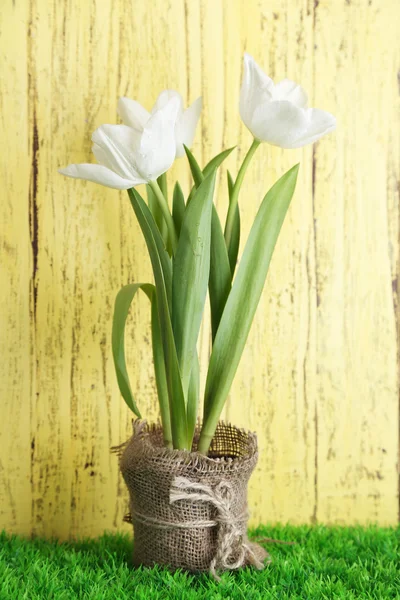 Hermosos tulipanes en maceta sobre hierba verde, sobre fondo de madera —  Fotos de Stock