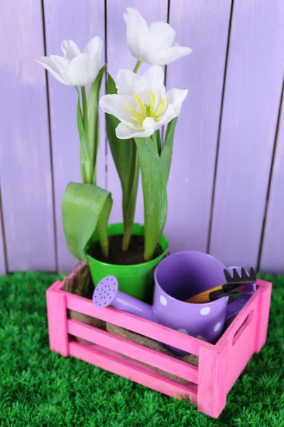 Красивые тюльпаны в деревянной корзине, на зеленой траве на фоне цвета дерева — стоковое фото