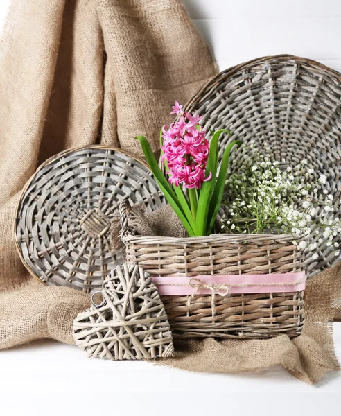 Beautiful hyacinth flower in wicker basket, on color wooden background — Stock Photo, Image