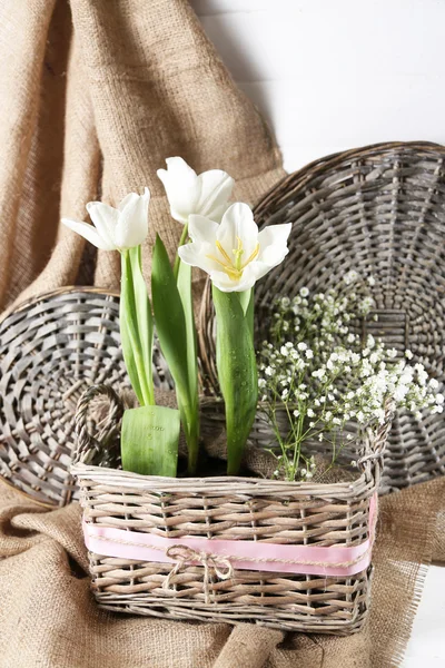 Hermosos tulipanes en canasta de mimbre, sobre fondo de madera de color —  Fotos de Stock