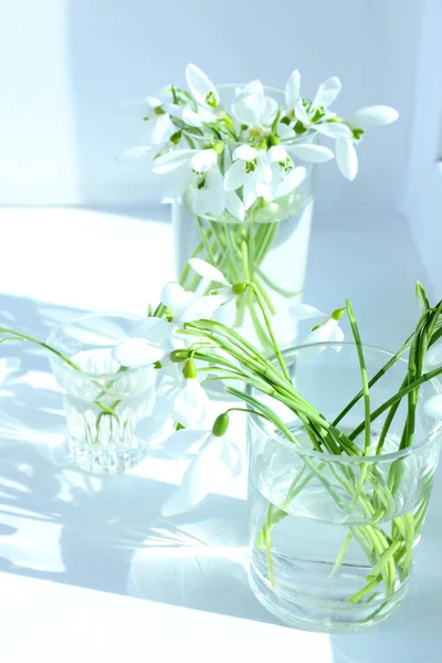 Beautiful bouquets of snowdrops in vases on windowsill — Stock Photo, Image