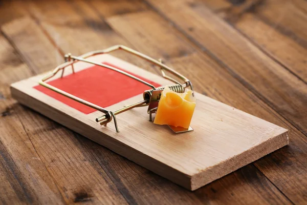 Mousetrap with cheese on wooden background — Stock Photo, Image