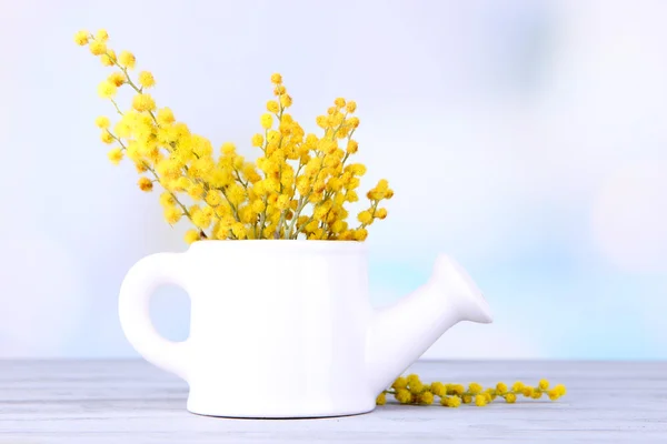 木製のテーブルに水まき缶のミモザの花の枝 — ストック写真