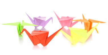origami Vinçler, üzerinde beyaz izole