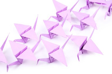 beyaz izole origami Vinçler