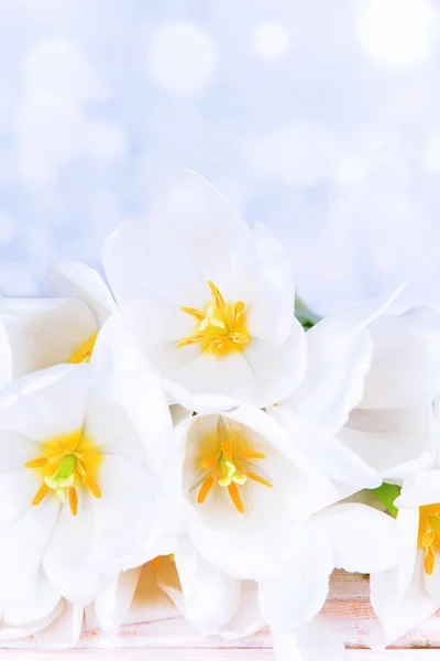 Belo buquê de tulipas brancas na mesa no fundo claro — Fotografia de Stock