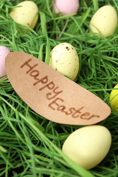 Easter eggs on green grass, close up — Stock Photo, Image