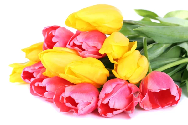 Рожеві та жовті тюльпани ізольовані на білому — стокове фото