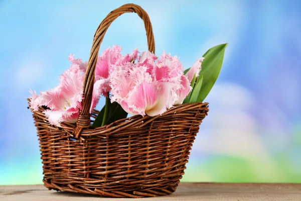 Beautiful tulips in wicker basket, on wooden table, on bright background — Stock Photo, Image