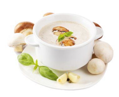 tabakta üzerine beyaz izole beyaz kase mantar çorbası