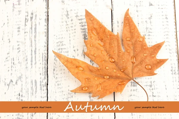 Dry maple leaf with drops, on wooden background — Stock Photo, Image