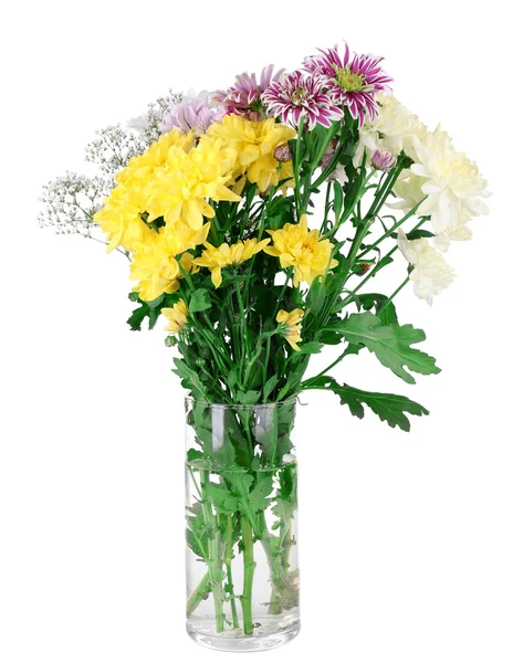 Beautiful chrysanthemum flowers in vase isolated on white — Stock Photo, Image