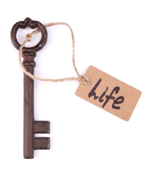 Schlüssel zum Leben, konzeptionelles Foto. isoliert auf weiß — Stockfoto