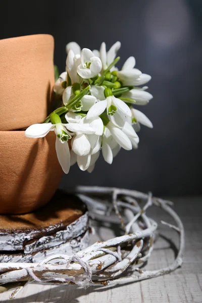 Schöne Schneeglöckchen auf grauem Hintergrund — Stockfoto