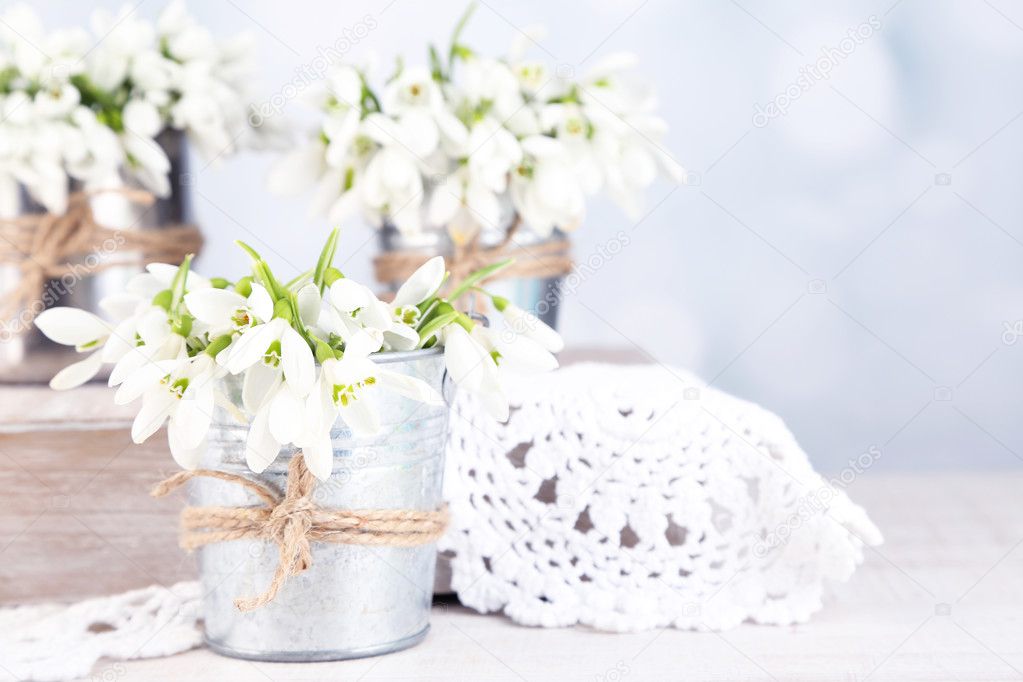 Beautiful snowdrops on light background