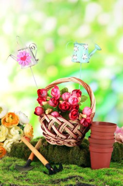 çimenlerin üzerinde doğal arka plan bahar kompozisyonu