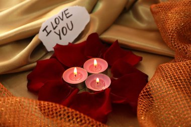 güzel kırmızı gül yaprakları ile mum ve tebrik kartı, yakın çekim