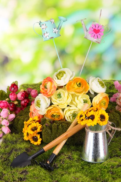 Frühjahrskomposition auf Gras auf natürlichem Hintergrund — Stockfoto