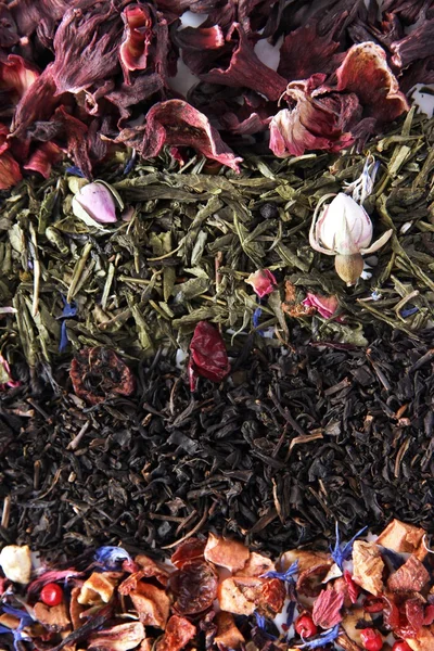 Diferentes tipos de té seco de cerca — Foto de Stock