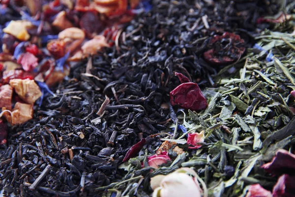 Olika typer av torra te närbild — Stockfoto