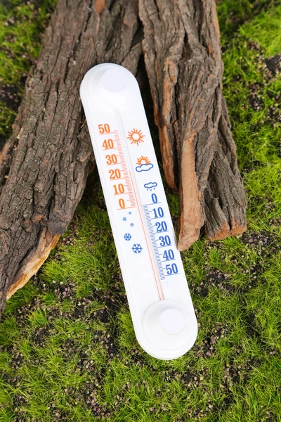 Thermometer on green grass background — Stock Photo, Image