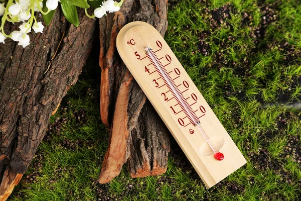 Термометр на зеленом фоне травы — стоковое фото