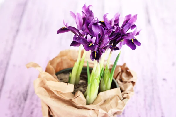 Beaux iris sur table en bois — Photo