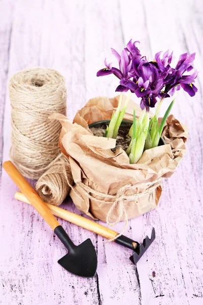 Hermosos iris y herramientas de jardinería en mesa de madera —  Fotos de Stock